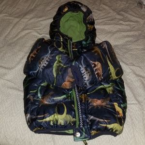 Toddler Dinosaur Jacket 